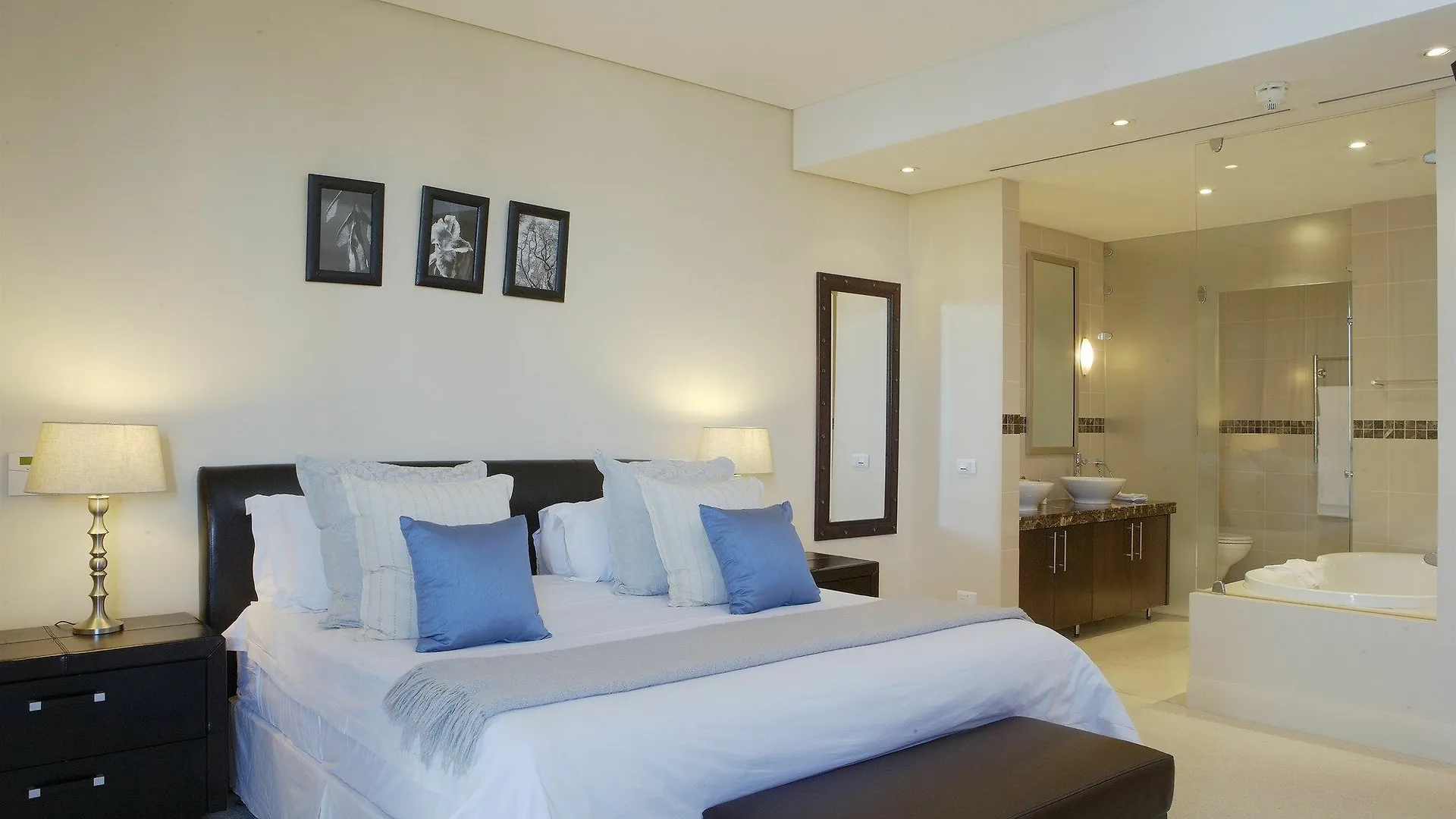African Elite Properties V&A Waterfront Cape Town South Africa